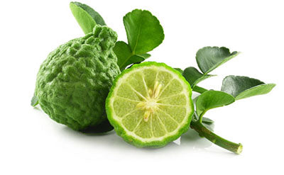 Bergamot in Tea: Unveiling the Citrus Wonder and Health Benefits