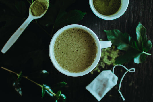 Matcha green tea in a cup with matcha powder and a green tea bag, with a background of plants and leaves