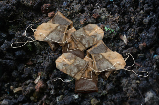 Used tea bags disposed of and left on the ground